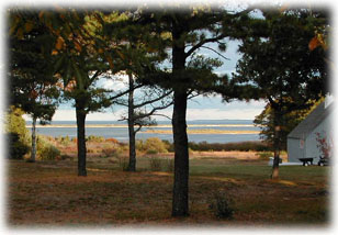 view from cottage