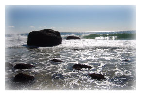 Martha's Vineyard beaches